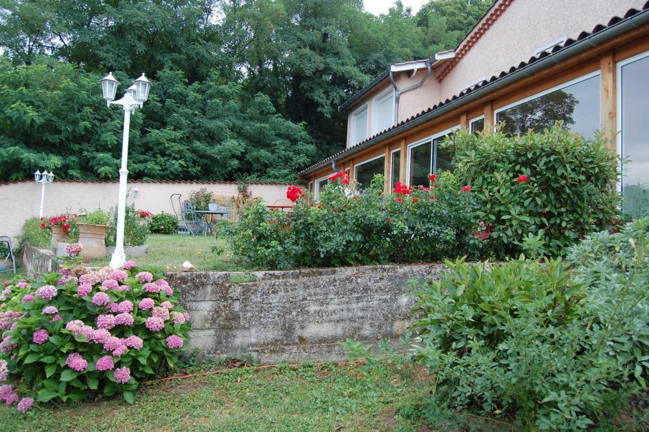 Villa Panoramique Saint-Clair-du-Rhone Exteriér fotografie
