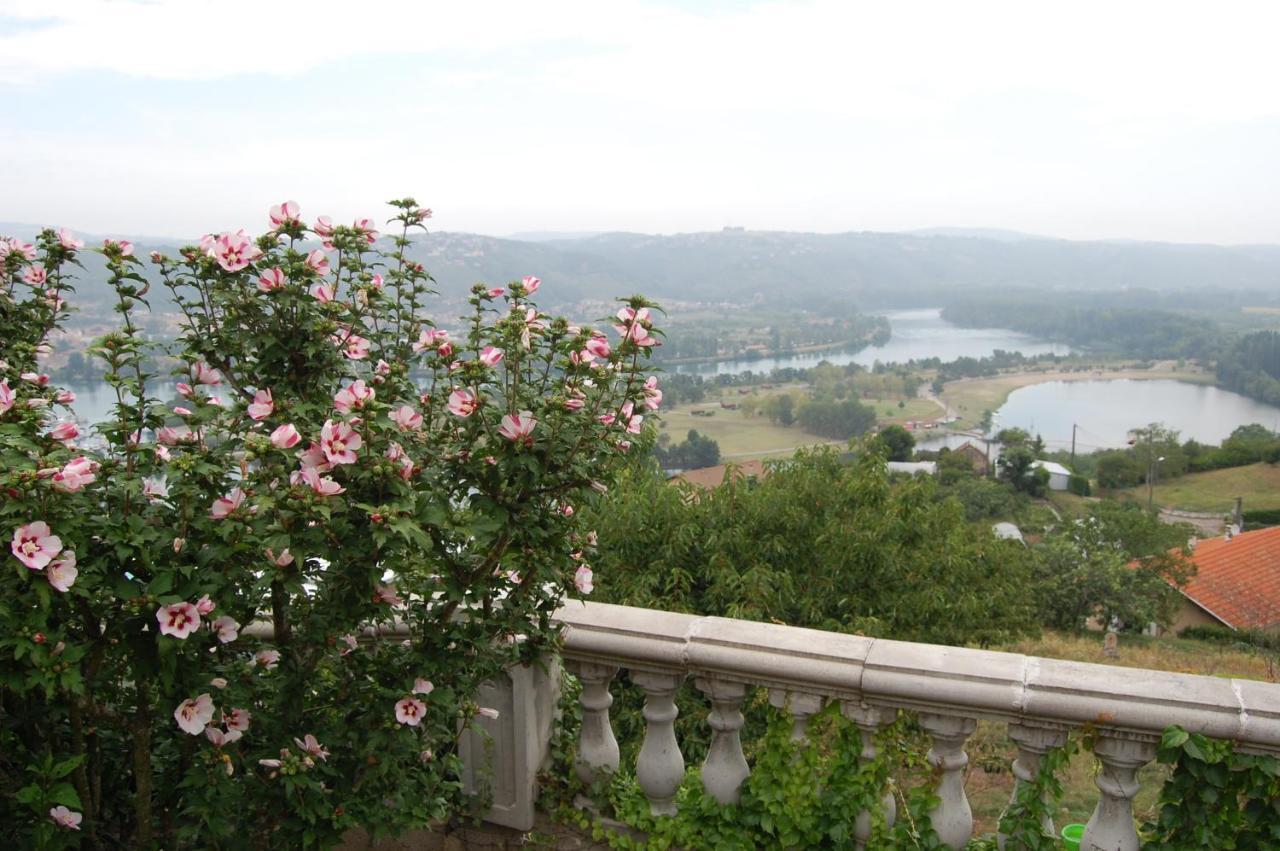 Villa Panoramique Saint-Clair-du-Rhone Exteriér fotografie