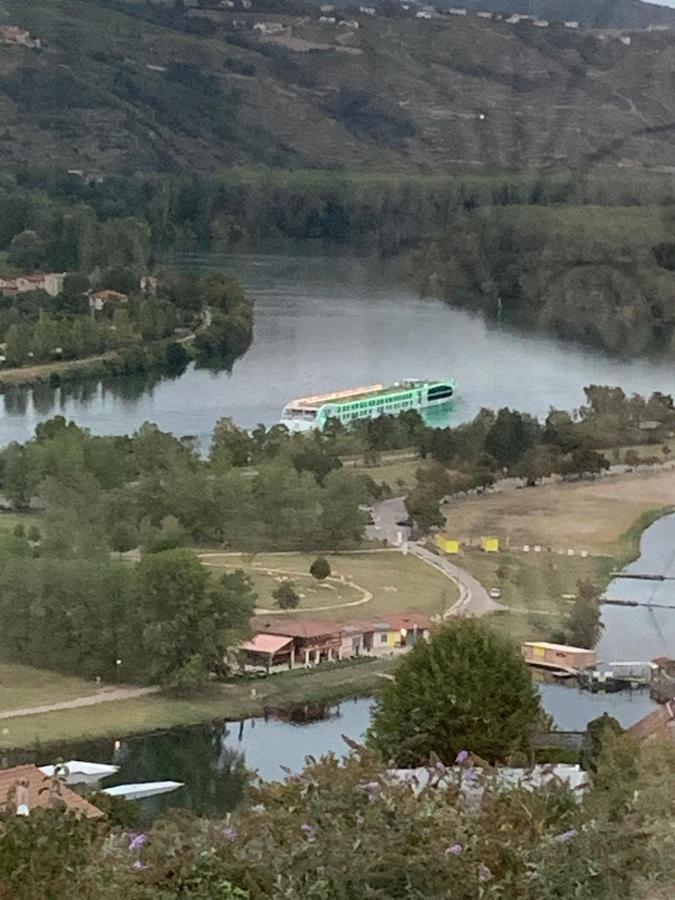 Villa Panoramique Saint-Clair-du-Rhone Exteriér fotografie